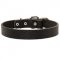 Leather Collie Collar for Walking and Training