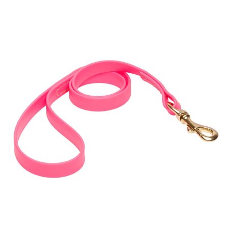 Pink Waterproof Collie Leash Made of Biothane