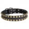 2 Rows Brass Studded Leather Collie Collar for Walking and Training