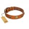 "Knights Templar" FDT Artisan Tan Leather Collie Collar with Skulls and Crossbones Combined with Squares
