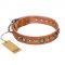 "Daily Chic" FDT Artisan Tan Leather Collie Collar with Decorations