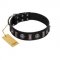 "Silver Spikes" Exclusive FDT Artisan Black Leather Collie Collar