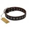 "Stars of Glory" FDT Artisan Brown Leather Collie Collar for Comfortable Walking