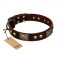 "Magic Amulet" Brown Leather Collie Collar with Skulls and Plates