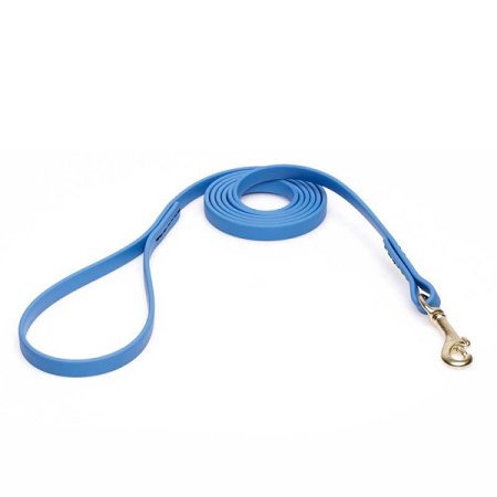 Amazing Blue Biothane Collie Leash for Walking, Tracking