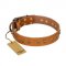 "Autumn Story" FDT Artisan Leather Collie Collar with Old Bronze Look Studs