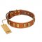 "Olive Slice" FDT Artisan Tan Leather Collie Collar with Engraved and Smooth Plates