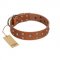 "Enchanted Skulls" FDT Artisan Tan Leather Collie Collar with Chrome Plated Skulls