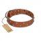 "Waltz of the Flowers" Handmade FDT Artisan Tan Leather Collie Collar with Chrome-plated Engraved Studs