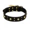 "Heavy Metal" Leather Collie Collar with Skulls and Studs 1 1/2 inch (40 mm)
