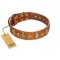 "Crystal Sand" FDT Artisan Tan Leather Collie Collar with Vintage Looking Oval and Round Studs