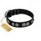 "Magic Amulete" Handcrafted FDT Artisan Black Leather Collie Collar with Chrome-Plated Shields