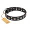 "Refined Essence" FDT Artisan Black Leather Collie Collar with Silvery Studs