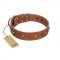 "Silver Age" Fashionable FDT Artisan Tan Leather Collie Collar with Silver-Like Studs