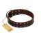 "Star Party" Handmade FDT Artisan Brown Leather Collie Collar with Silver-Like Studs