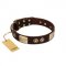 "Sense of Freedom" FDT Artisan Brown Leather Collie Collar with Old Bronze-Plated Studs and Plates
