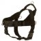 Collie Harness Nylon with Patches for Training and Walking