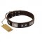 "Satin Beauts" FDT Artisan Brown Leather Collie Collar with Stars and Plates