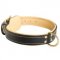 Royal Design Nappa Padded Leather Collie Collar