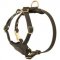 Spruce Leather Collie Harness With Small Chest Plate