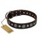 "Victory Ode" FDT Artisan Brown Leather Collie Collar with Silver-like Plated Decorations