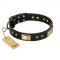 "Black Sun" FDT Artisan Leather Collie Collar with Brass Plated Decorations