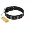 "Pirates' Symbol" Fashionable FDT Artisan Black Leather Collie Collar with Silver-Like Plates and Gold-Like Skulls