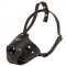 Everyday Leather Collie Muzzle for Training