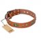 "Stunning Dress" FDT Artisan Tan Leather Collie Collar with Old Bronze Look Plates and Studs