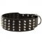 Extra Wide Studded Leather Collie Collar