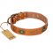 "Dandy Pet" FDT Artisan Handcrafted Tan Leather Collie Collar