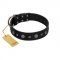 "Mr. Elegance" Designer FDT Artisan Black Leather Collie Collar with Silver-Like Studs