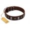 "War Chief" FDT Artisan Genuine Brown Leather Collie Collar with Skulls and Plates