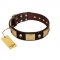 "Heavy Metal" FDT Artisan Brown Leather Collie Collar with Old Bronze-like Skulls and Plates
