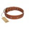 "Star Shine" Exclusive FDT Artisan Tan Leather Collie Collar with Silver-Like Adornments