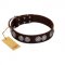"High and Mighty" FDT Artisan Classy Brown Leather Collie Collar with Embellished Brooches