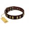 "Peace and Harmony" FDT Artisan Brown Leather Collie Collar with Plates