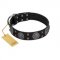 "Boundless Blue" FDT Artisan Black Leather Collie Collar with Chrome Plated Brooches and Square Studs