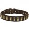 Leather Collie Collar with Awesome Brass Plates