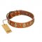 "Venus Breath" FDT Artisan Tan Leather Collie Collar with Vintage Looking Oval and Round Studs