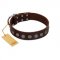 "Starry-Eyed" Best Quality FDT Artisan Brown Designer Leather Collie Collar with Small Plates