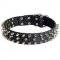 Leather Collie Collar with 3 Rows of Nickel Spikes