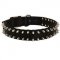 Collie Nylon Collar Adorned with Spikes