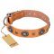 "Twinkle Twinkle" FDT Artisan Incredible Studded Tan Leather Collie Collar
