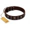 "Menacing Allure" FDT Artisan Brown Leather Collie Collar Embellished with Silvery Crossbones and Square Studs