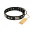 "Pirates Gold" FDT Artisan Black Leather Collie Collar with Old Silver Look Plates and Skulls