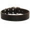 Wide Leather Collie Collar for Training and Walking