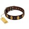 "Crystal Mirror" FDT Artisan Handmade Brown Leather Collie Collar - 1 1/2 inch (40 mm) Wide