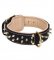Royal Leather Collie Collar Spiked Padded with Nappa Leather
