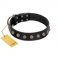 "Bizarre Affection" Designer Handmade FDT Artisan Black Leather Collie Collar